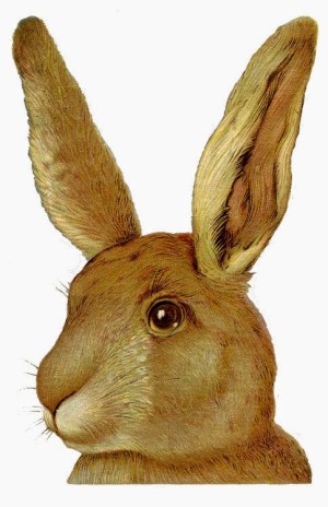 This rabbit is from the Graphics Fairy
