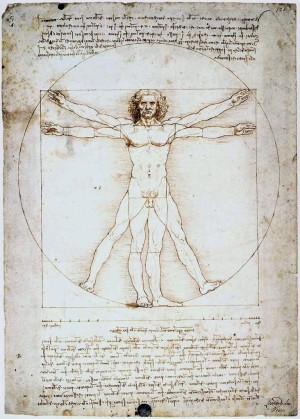 Leonardo's Vitruvian Man