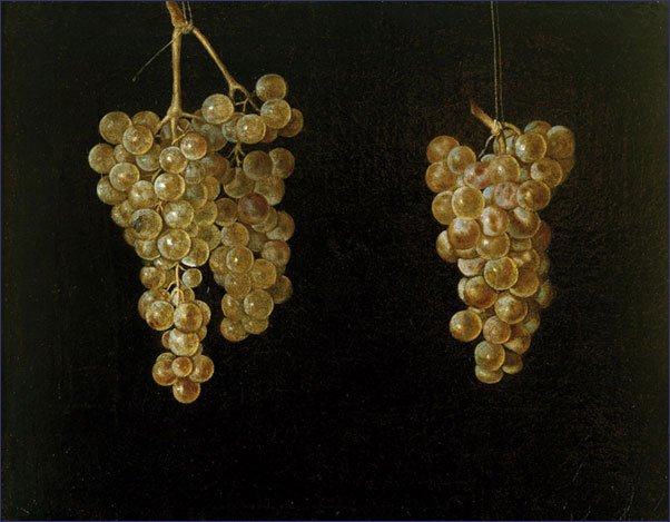 Grapes, Juan Fernandez el Labrador.