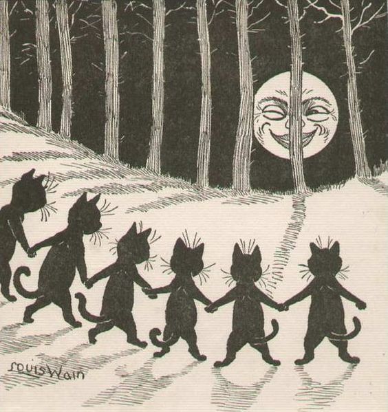 The wink black cats