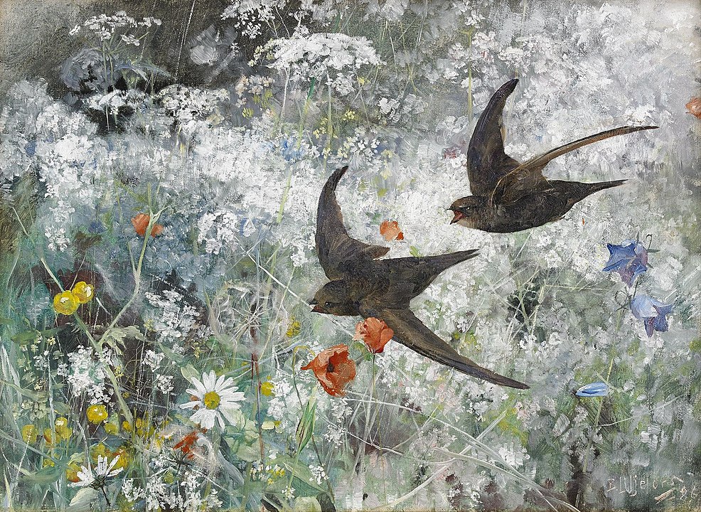 Common Swifts. Bruno Liljefors.