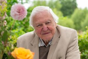 Portrait of David Attenborough with Roses