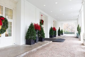 Decorated for xmas 2018